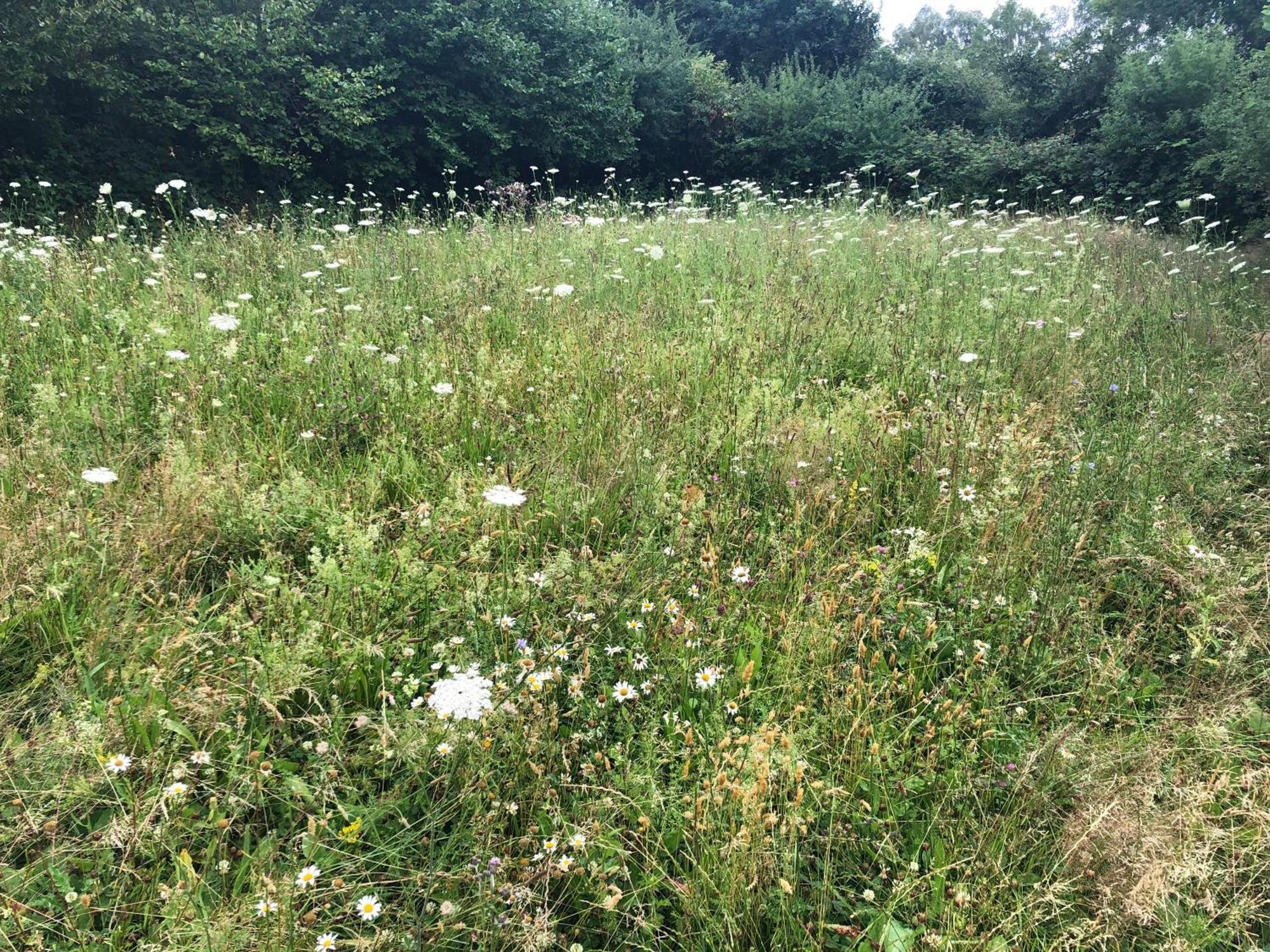 Erholung Auf Dem Land Zwischen Ostsee Und Schlei Stoltebüll Exterior foto